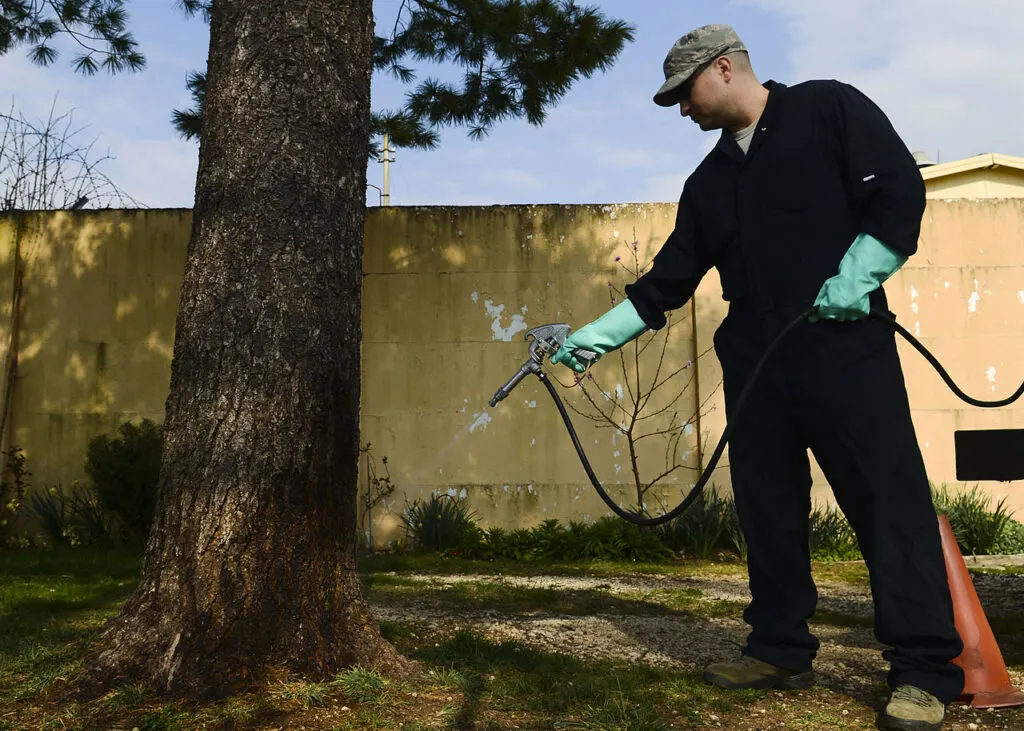 A man spraying around a tree for insects is part of regular pest inspections and control.