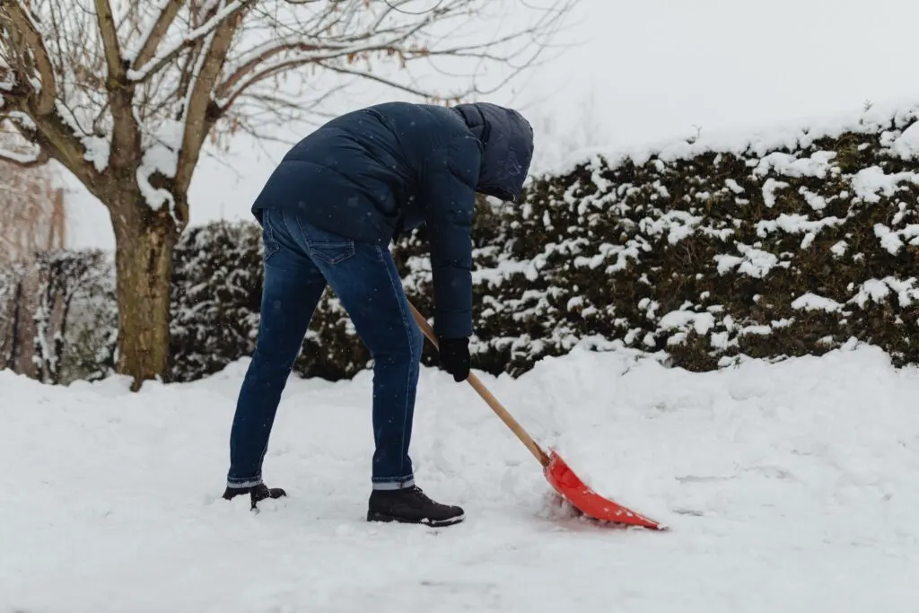 A man shoveling snow off his lawn as part of winter lawn care.