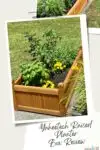 A Yaheetech Raised Planter Box full of healthy, growing vegetables, herbs and flowers.
