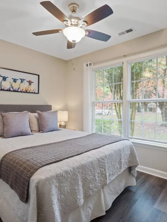 Ceiling fan with lights in a guest bedroom