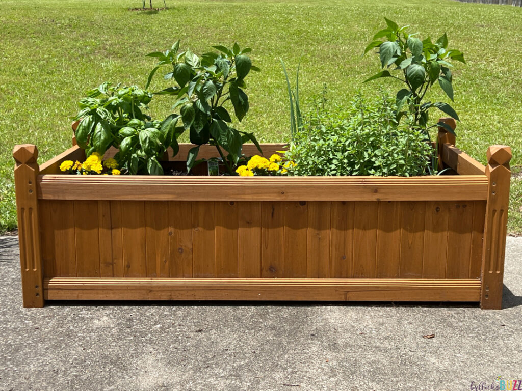 A side view of the planter box filled with growing plants