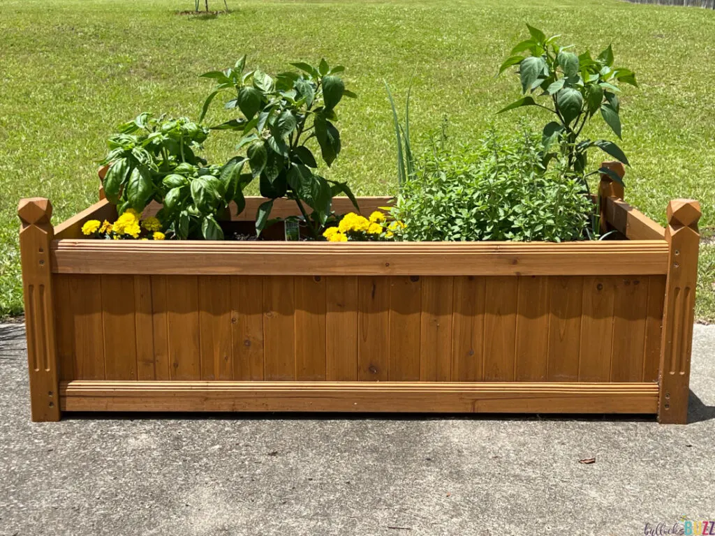 A side view of the planter box filled with growing plants