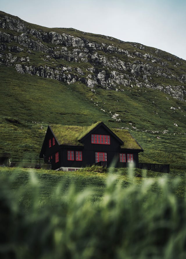 A house in the mountains with a moss-covered roof.