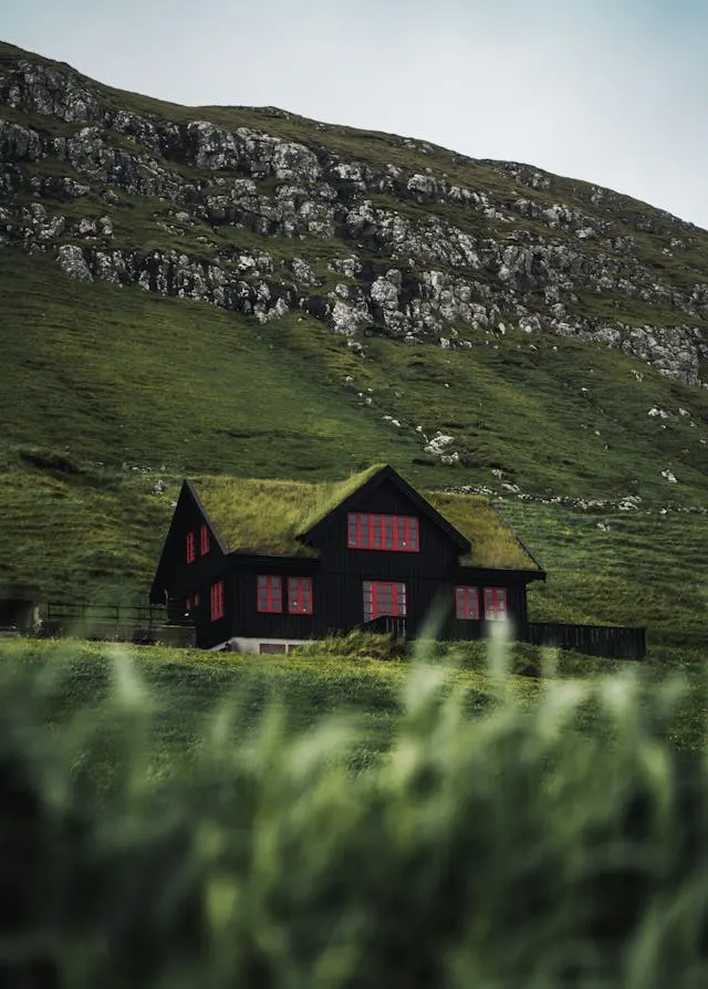A house in the mountains with a moss-covered roof.