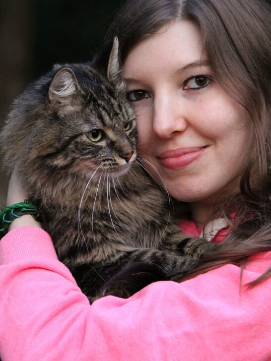 A woman in a pink shirt holding a long- haired silver tabby cat without worrying about cat allergy thanks to cat allergy shots.