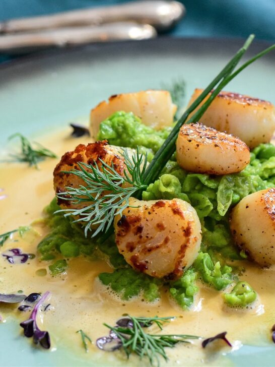 Seared scallops with garlic butter sauce garnished with herbs on a blue plate. Use these tips for cooking perfect scallops