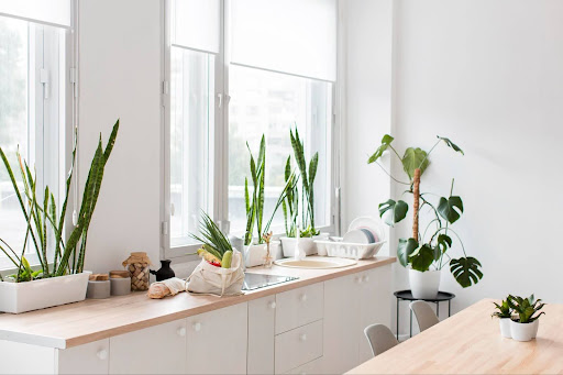 A bright kitchen with lots of plants making greenery one of the best types of art for the kitchen