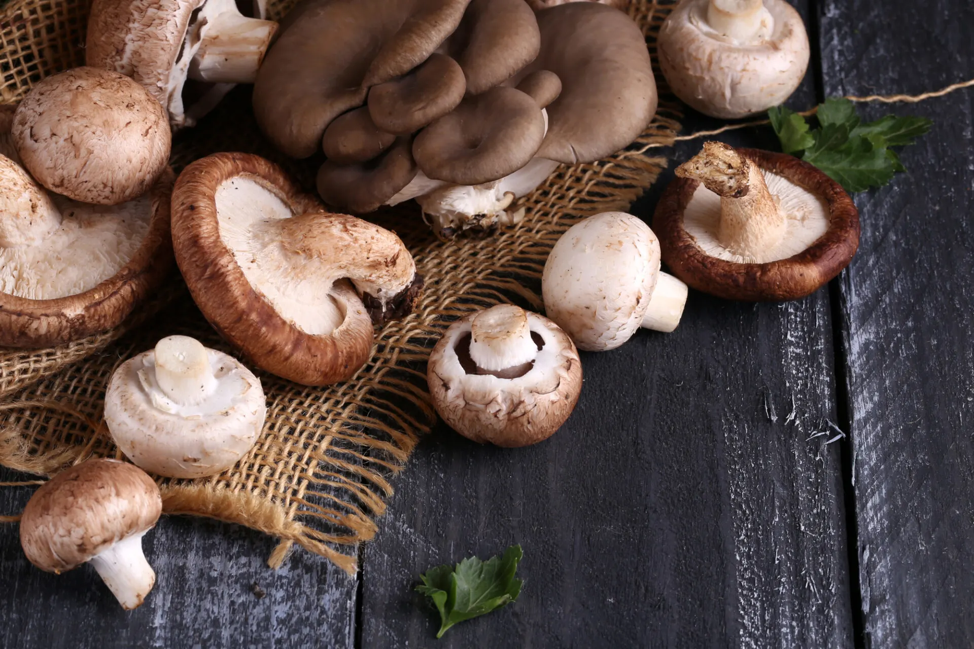 natural organic mushrooms for healthy food