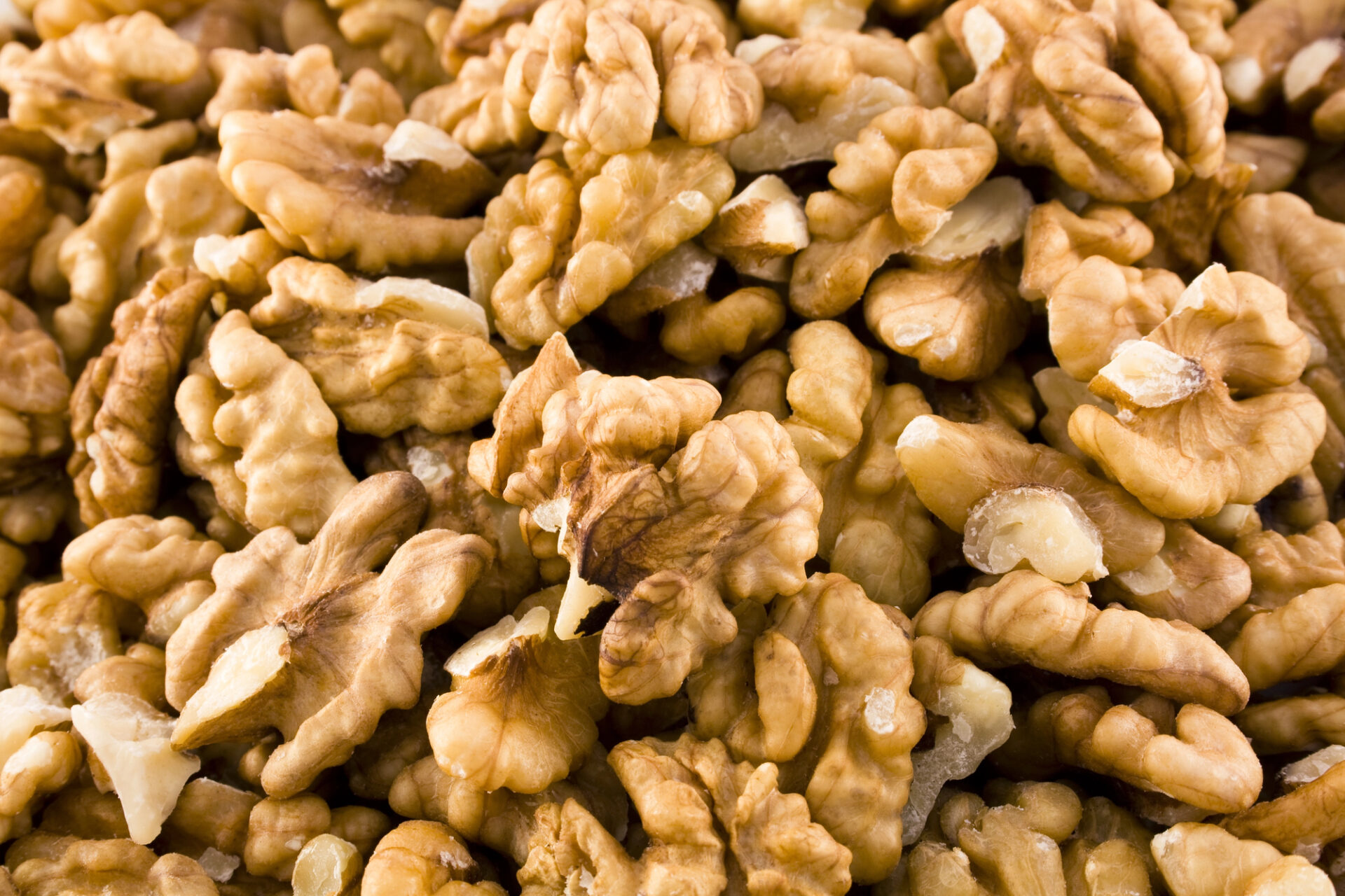 Walnuts - Photo