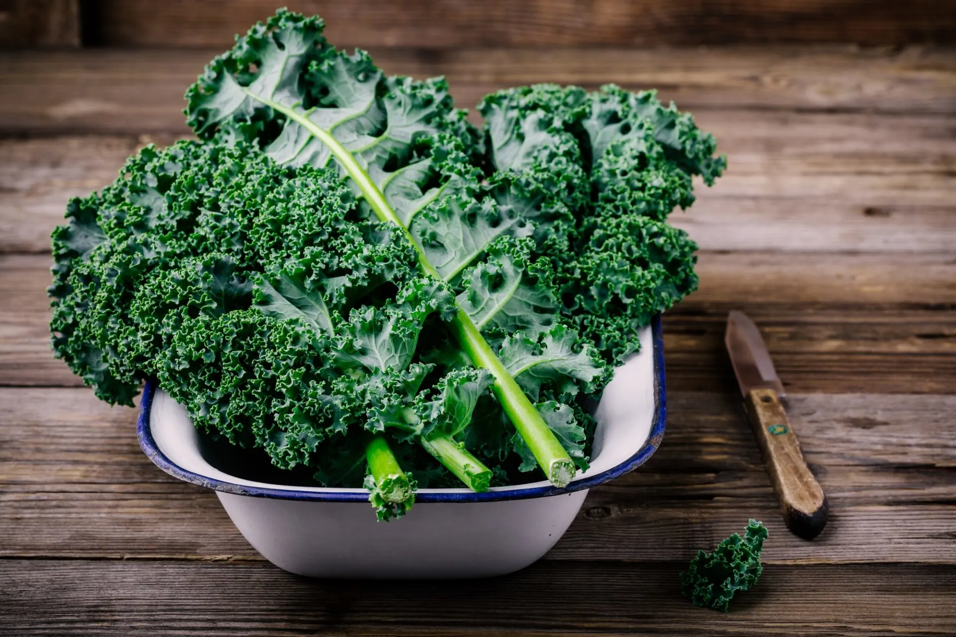 Fresh raw green superfood kale curly cabbage leaves