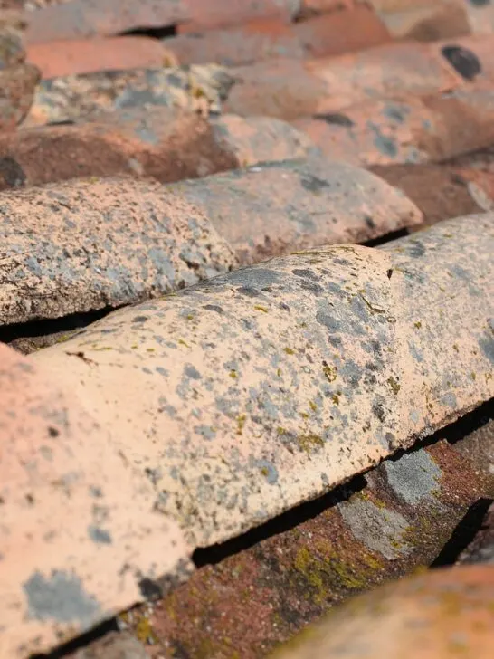 Wear to a tile roof showing why its important to pay attention when the time comes for repairing your roof