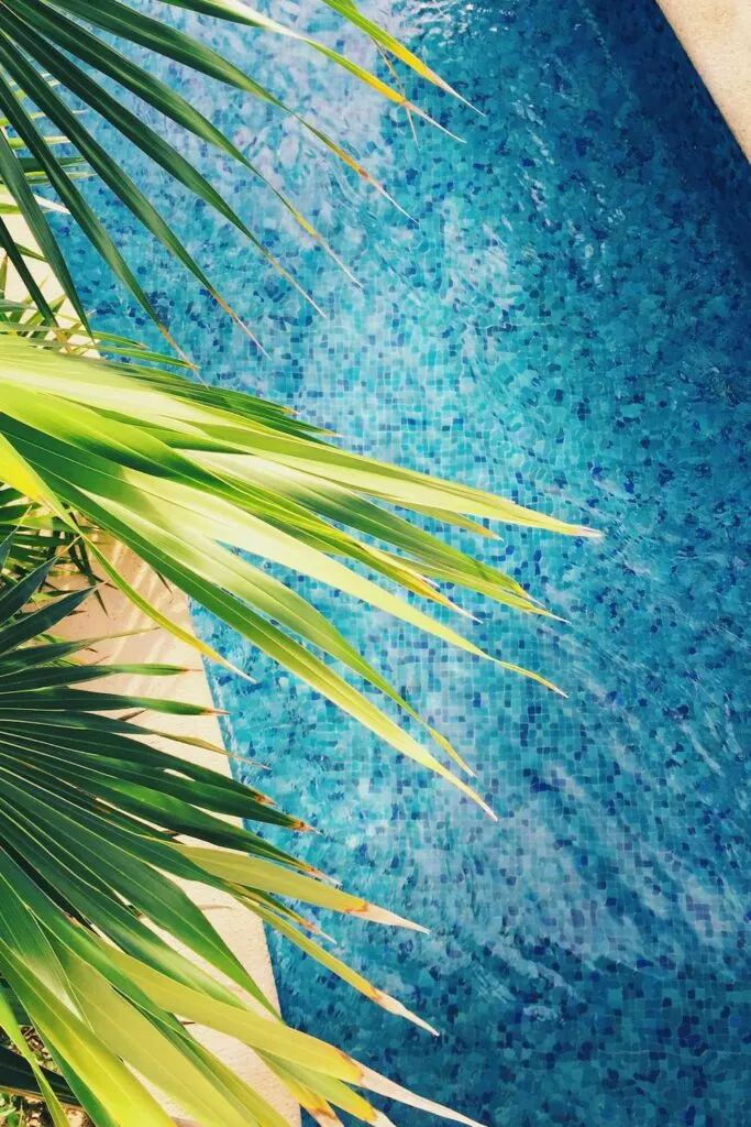 Overhead view of a pool