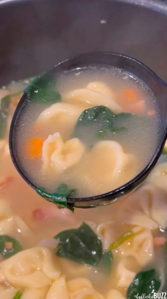 A soup-filled ladle over the pot of finished soup