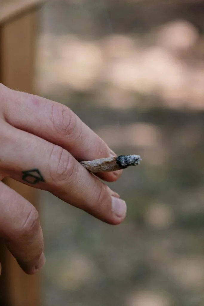 A person holding a black and mild made into a joint