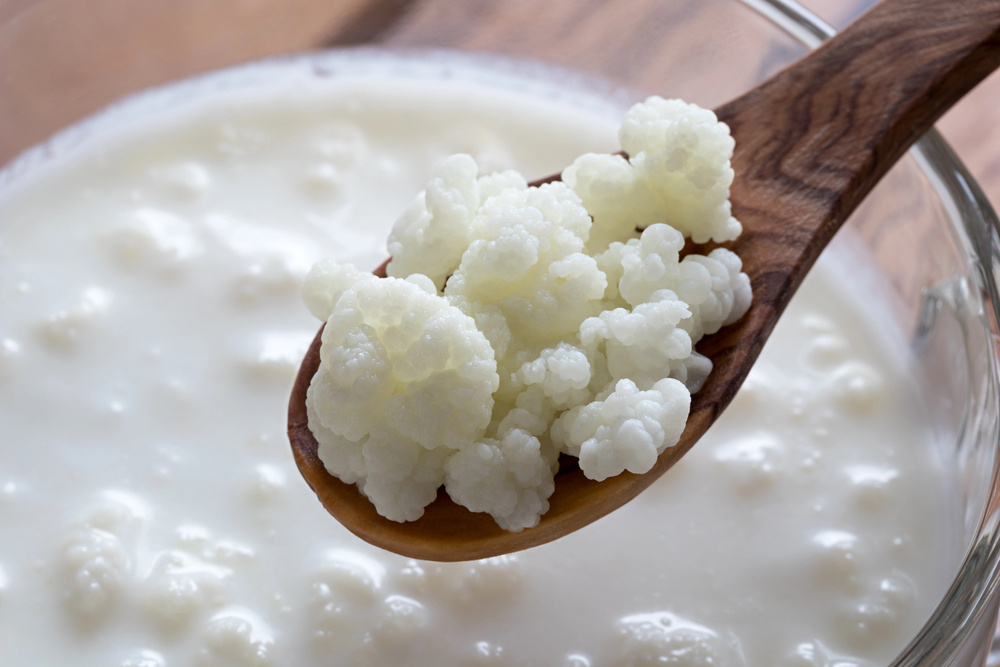 Kefir grains on a wooden spoon above a jar of kefir — Photo
