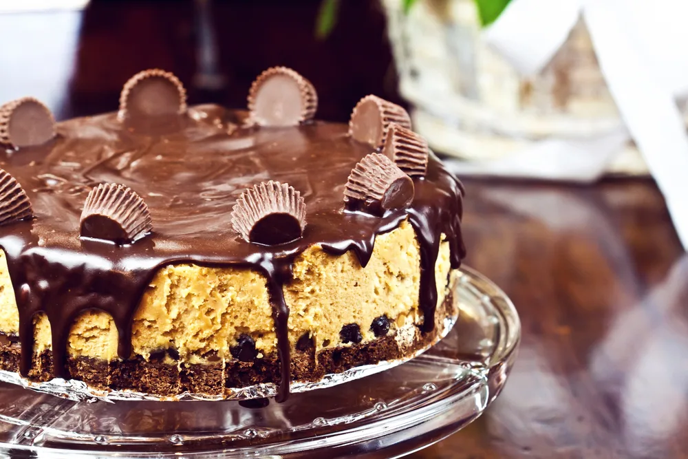 Chocolate cheesecake — Photo