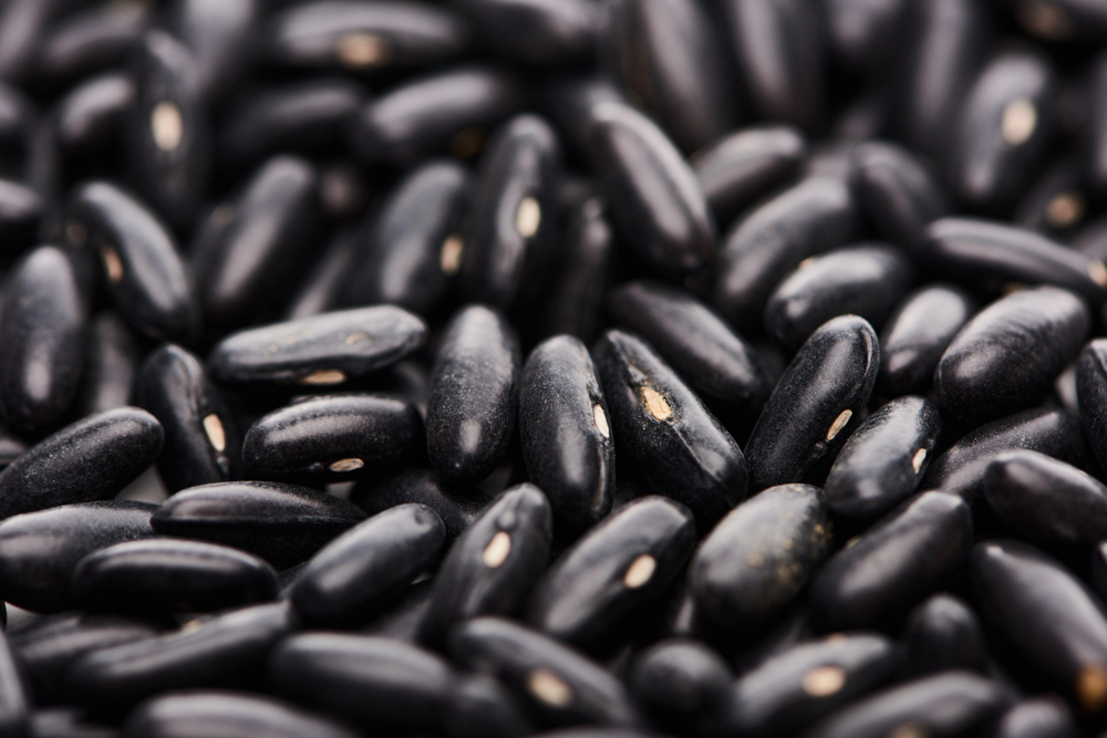Close up view of raw organic black beans — Photo