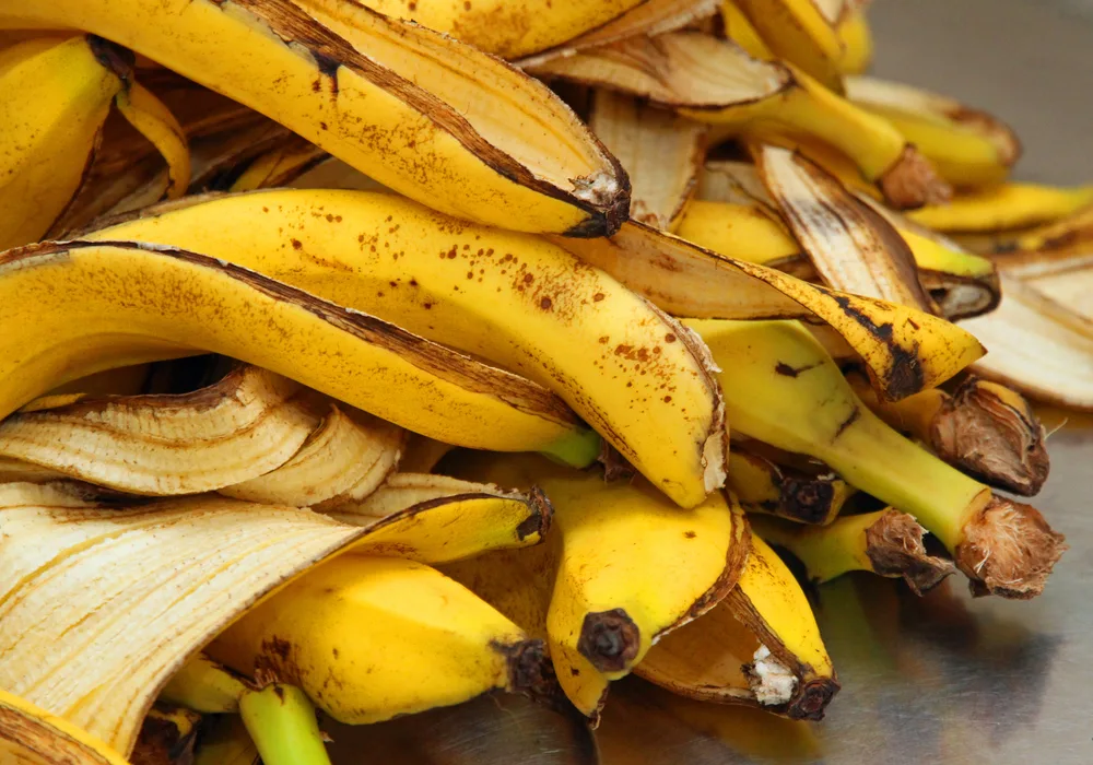 Yellow banana peels just Peel to store organic waste — Photo