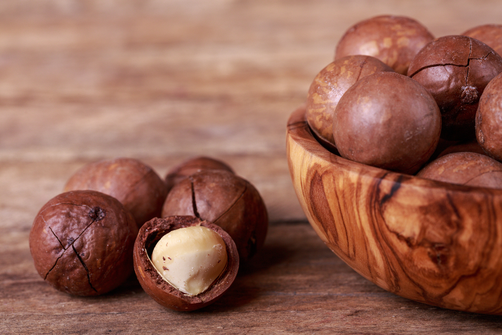 Macadamia nuts — Photo