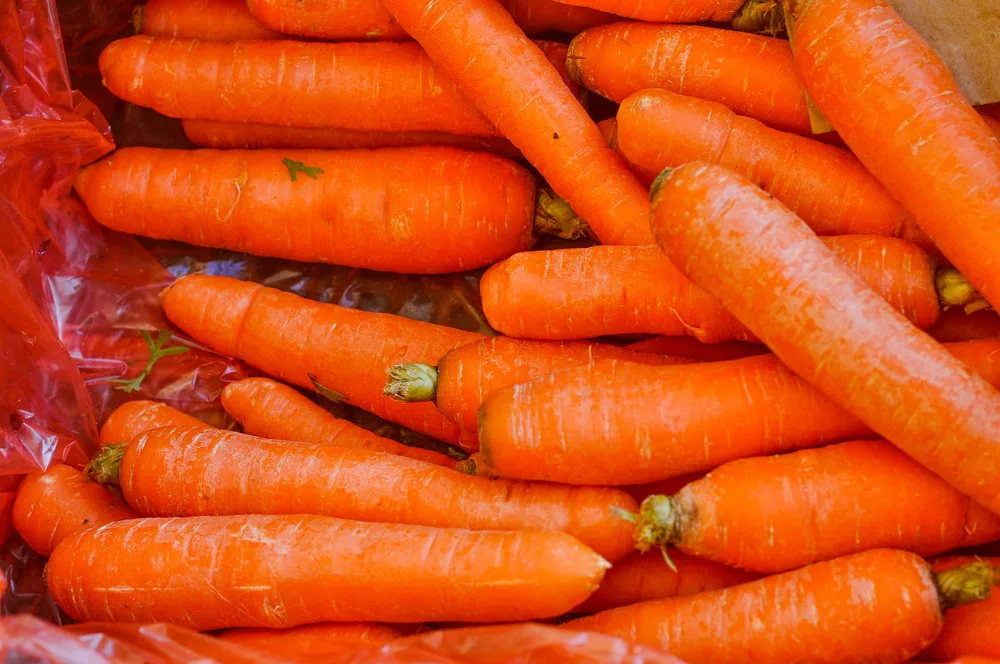 Orange carrot vegetables useful as a background