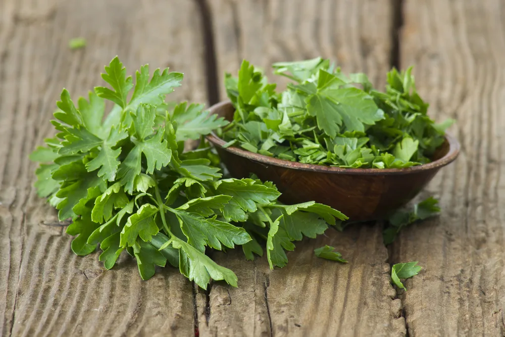 fresh parsley on wooden background