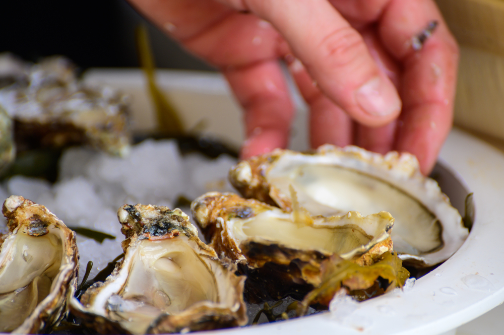 Fresh french Gillardeau oysters molluscs shucked on ice with lemon ready to eat close up, Marienne-Oleron, France