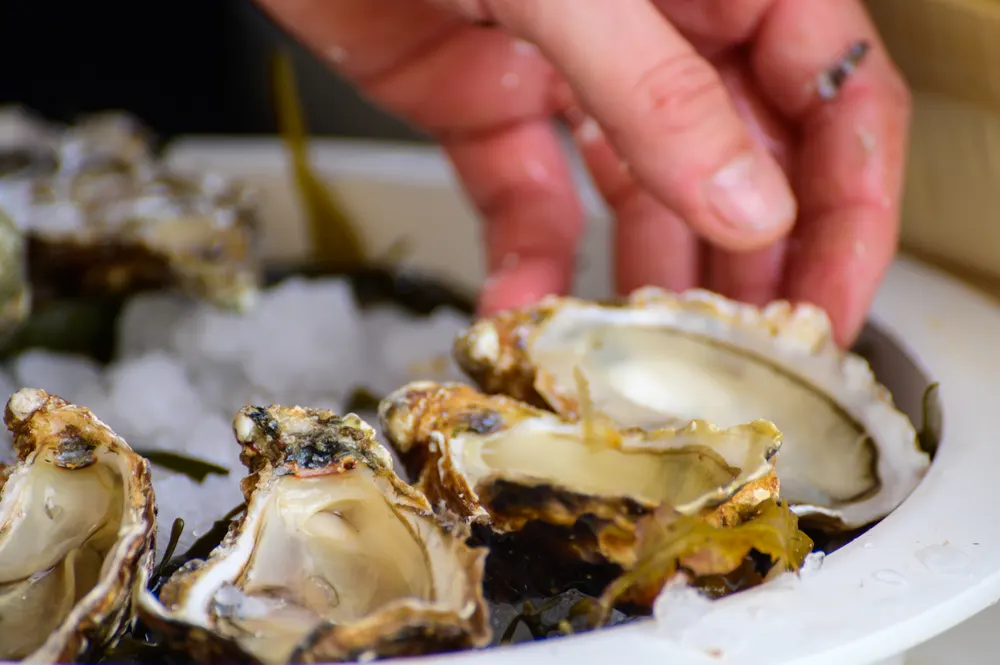 Fresh french Gillardeau oysters molluscs shucked on ice with lemon ready to eat close up, Marienne-Oleron, France