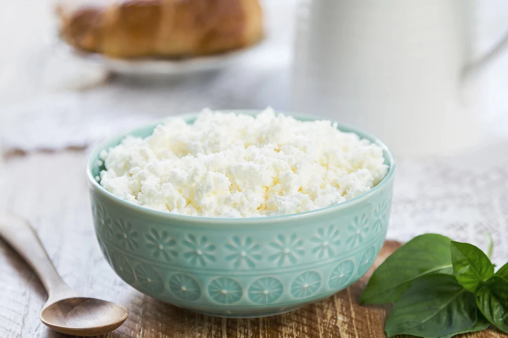 Homemade Ricotta cheese — Photo
