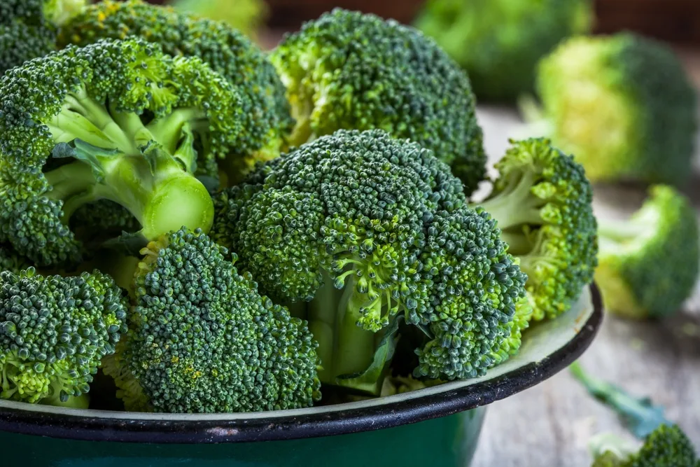 Fresh raw organic broccoli in bowl closeup — Photo