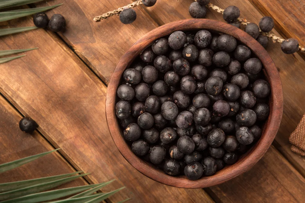 The amazon acai fruit — Photo