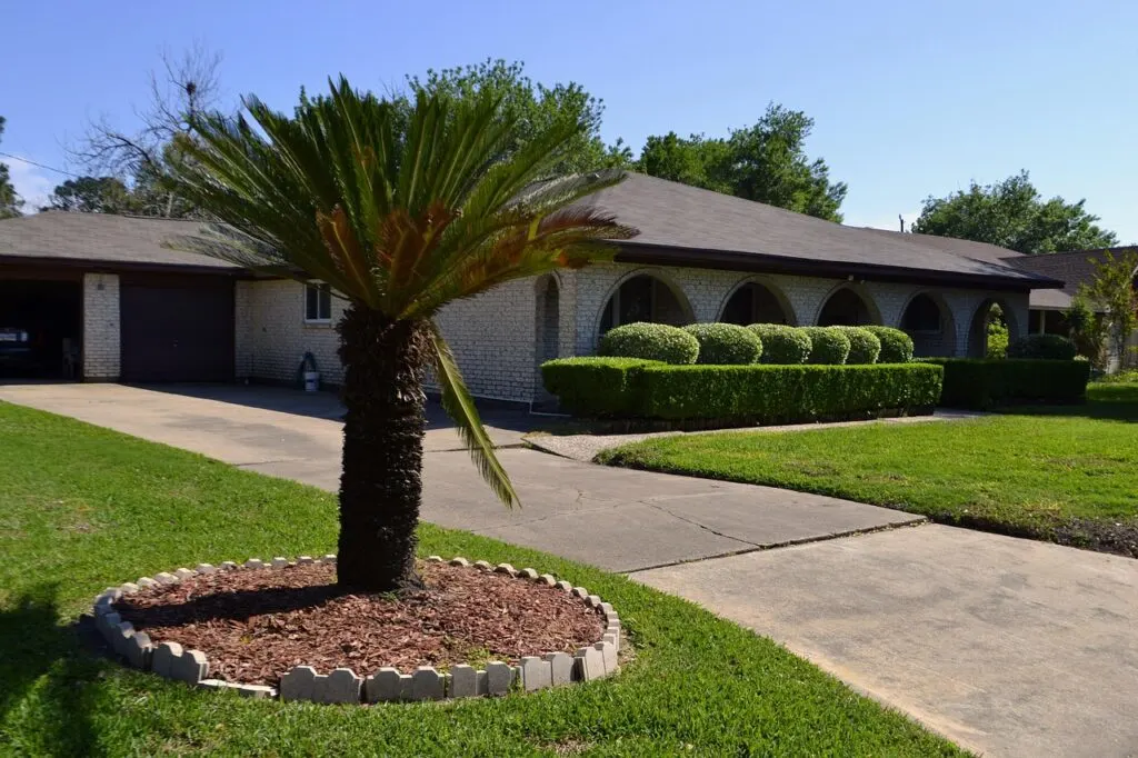 A pretty house with a palm tree and driveway