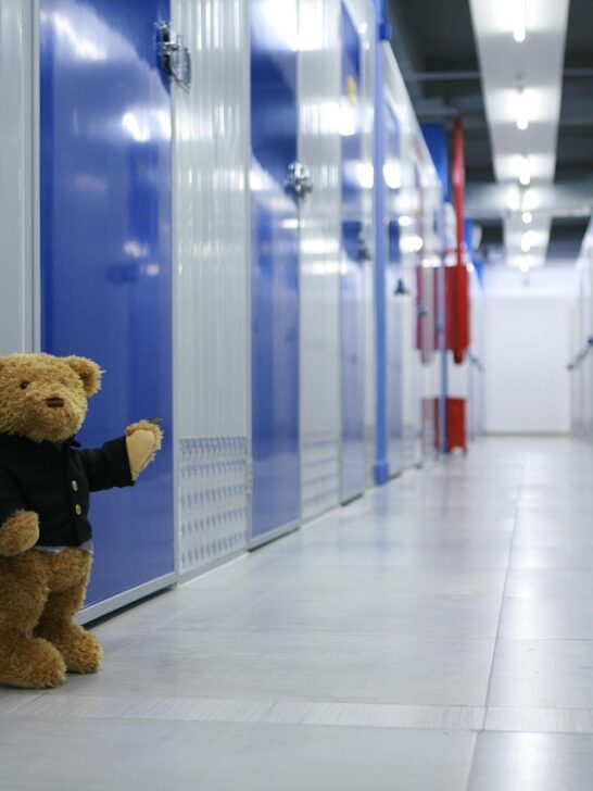 A teddy bear next to a door by inside storage units. Choosing inside or outside units is key to finding flexible storage units for your needs.