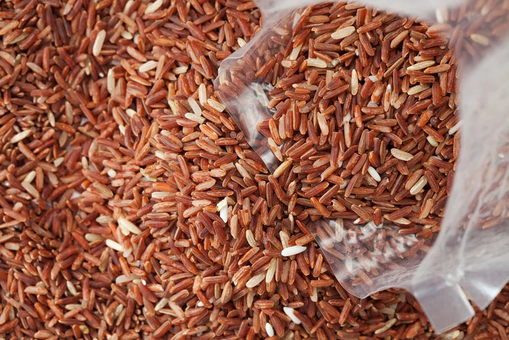 Brown rice — Photo