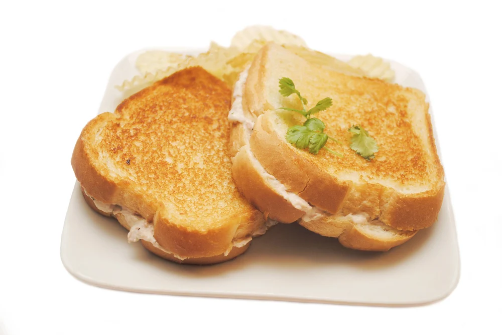 Tuna Melt Sandwich for Lunch — Photo