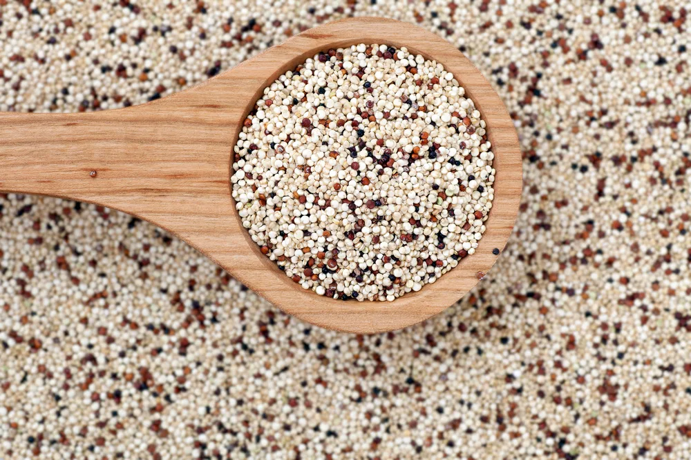 Quinoa with Wooden Spoon — Photo