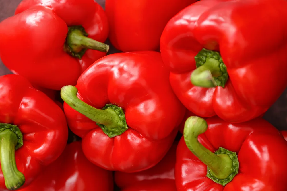 Sweet red bell peppers as background — Photo