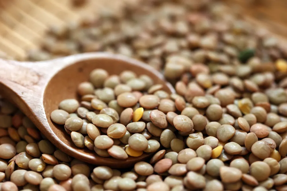 Lentils spread on a bamboo colander