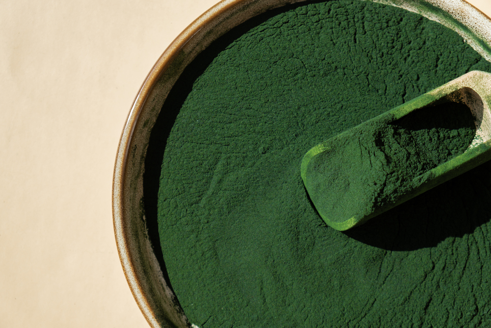 Organic blue-green algae spirulina powder food