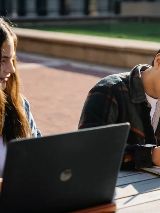 Two students working on laptops while sitting outside. Schools are making sure students have easy software access
