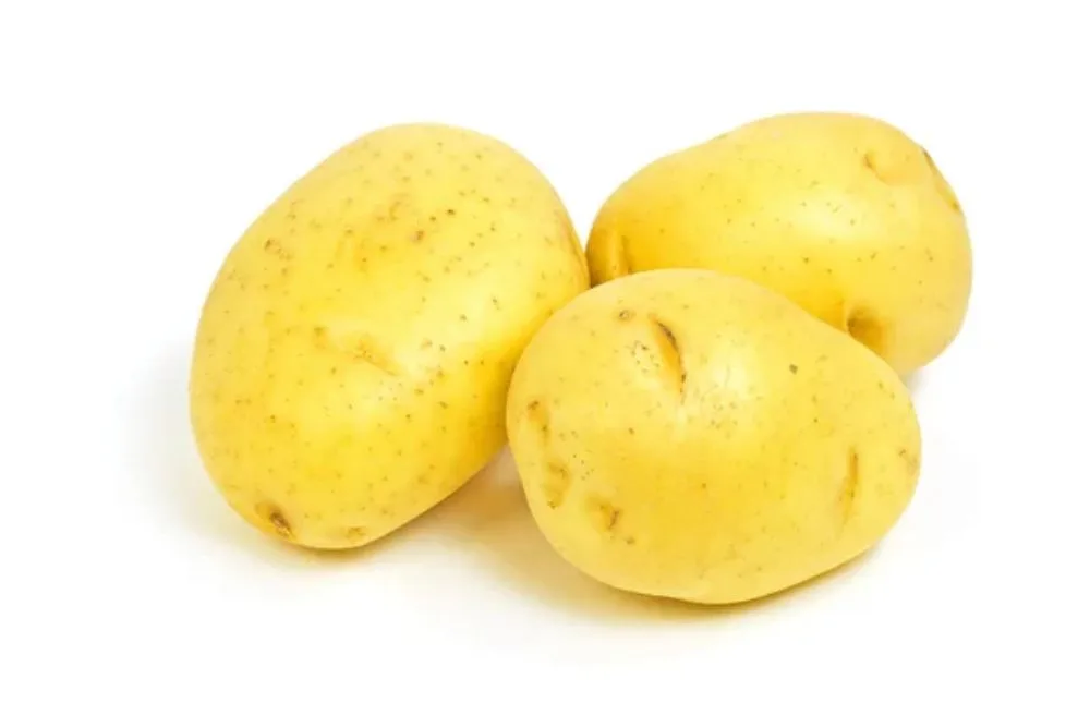 Yukon Gold potatoes — Photo