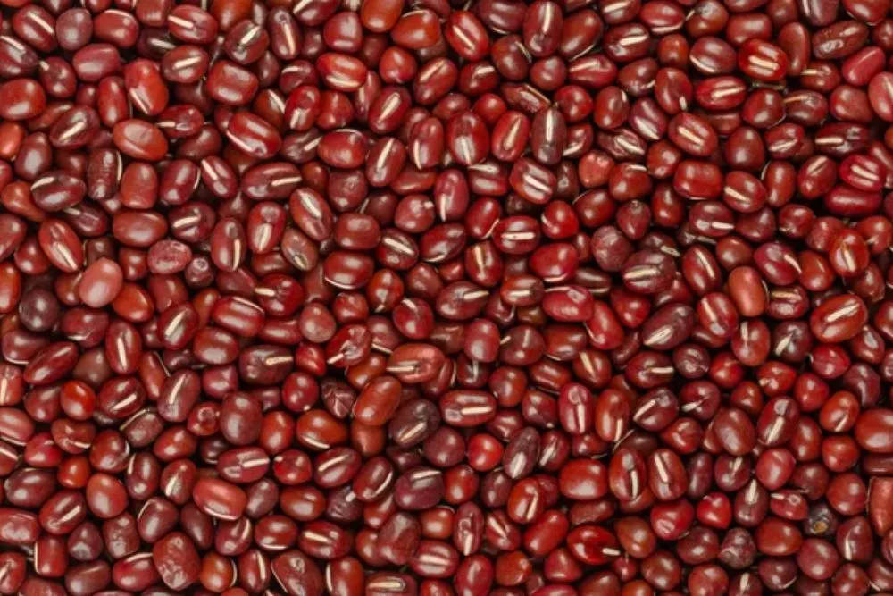 Remove BG Save Share Sample Adzuki beans, background, from above