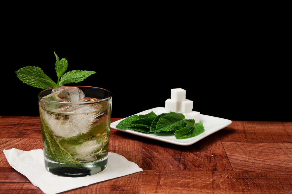 Mint Julep Cocktail — Photo