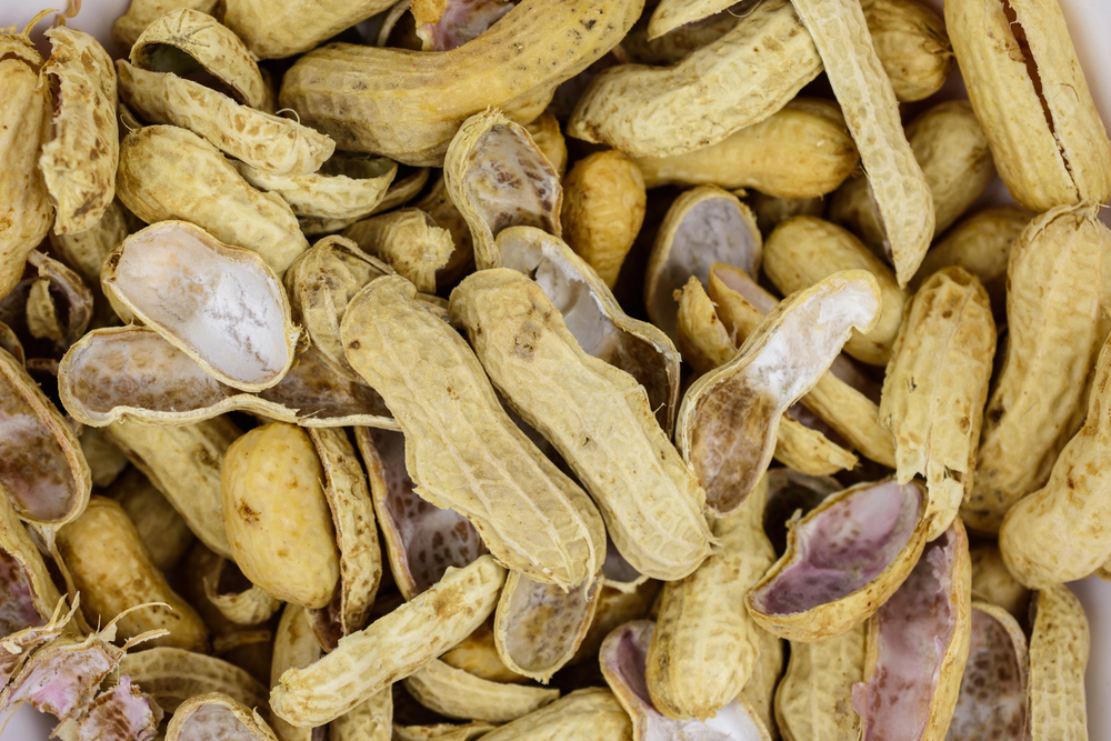 Closeup detail and texture a bunch of Peanut shells — Stock Photo, Image