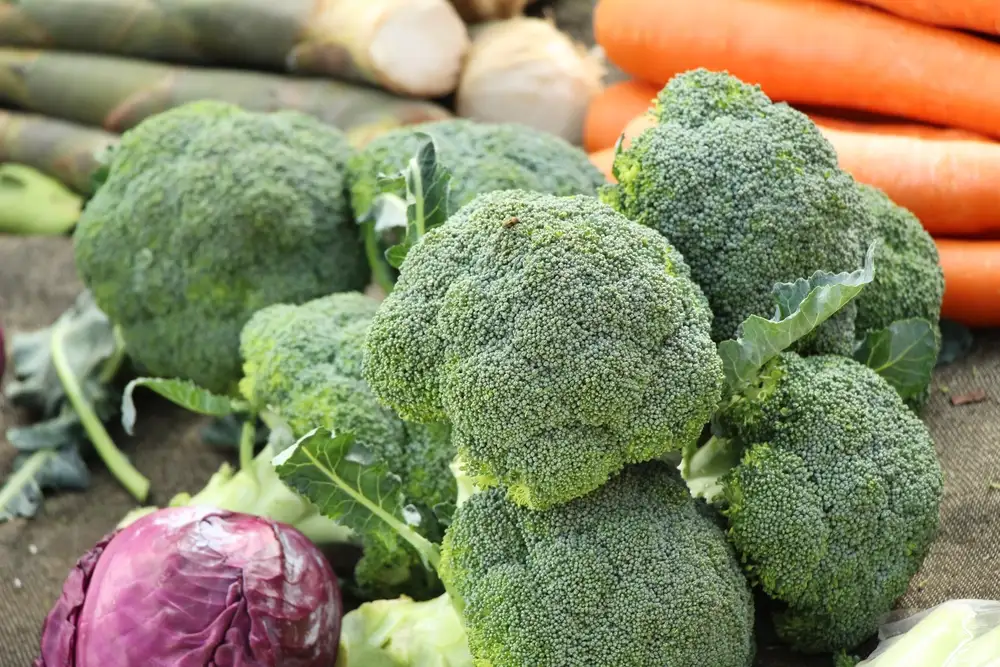 Broccoli vegetable for cooking in the market