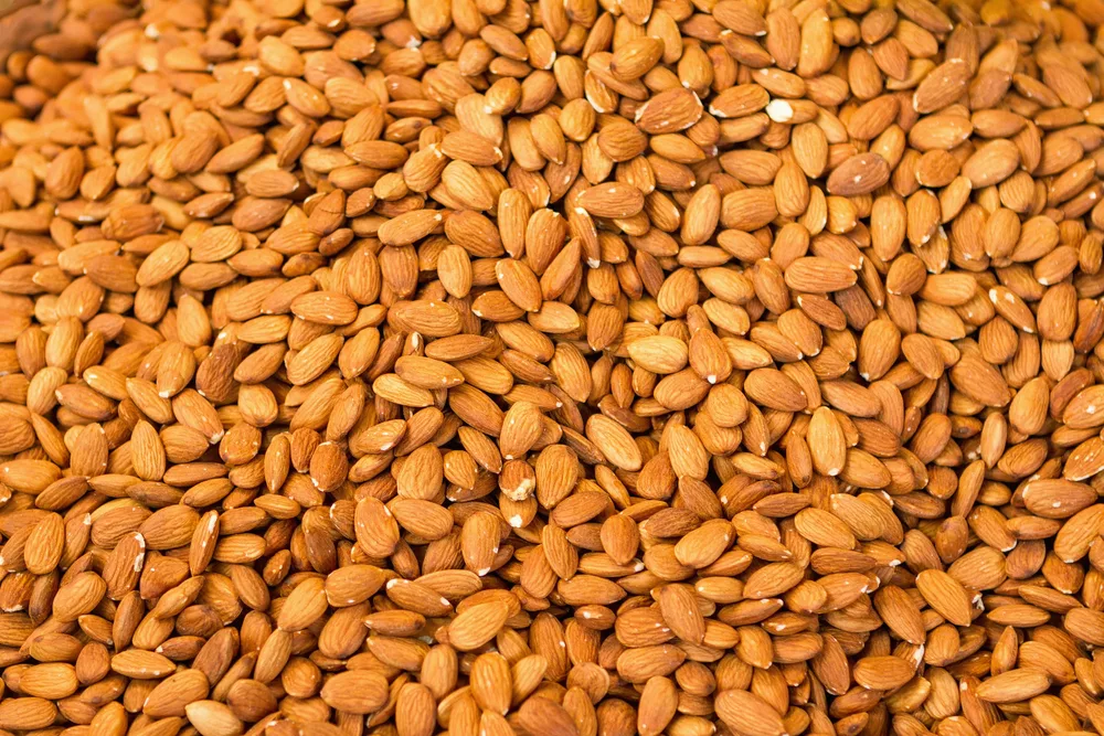 Remove BG Save Share Sample A pile of kernels of bitter almonds — Photo