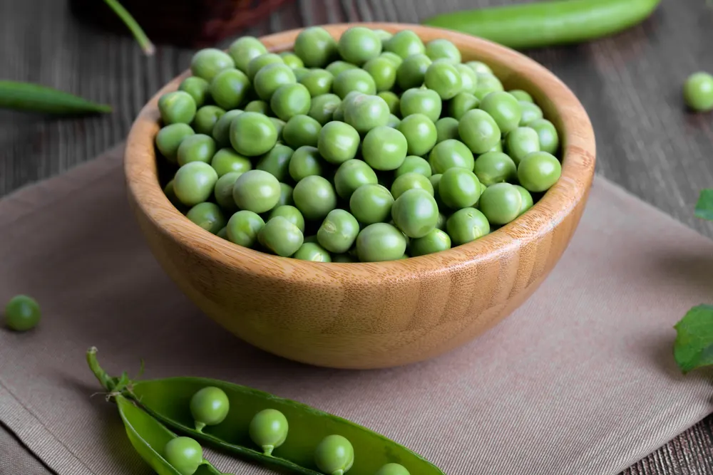 Fresh Organic Raw Green Peas Bowl Peas Plants Leaves Dark — Stock Photo, Image
