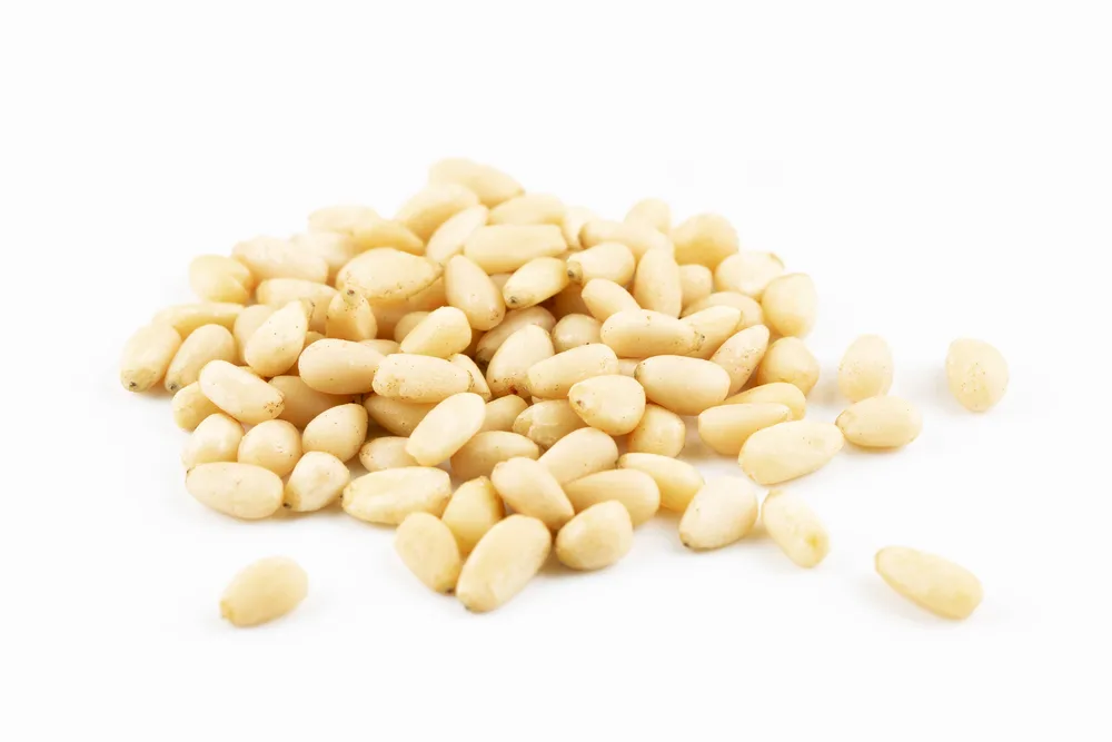 Pine nuts isolated on a white background, cedar pine nut
