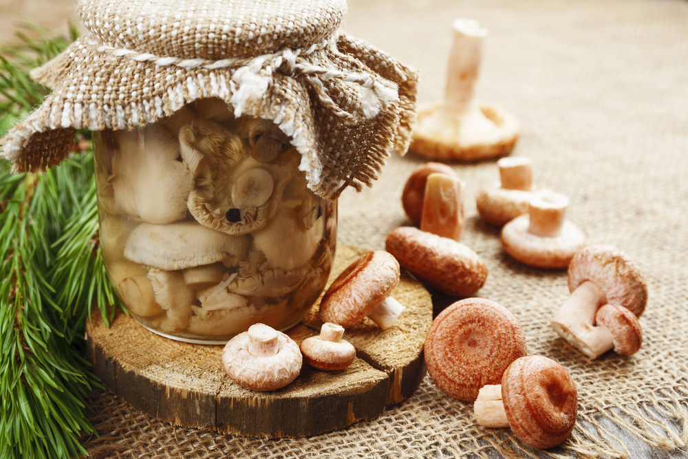 Canned mushrooms — Photo