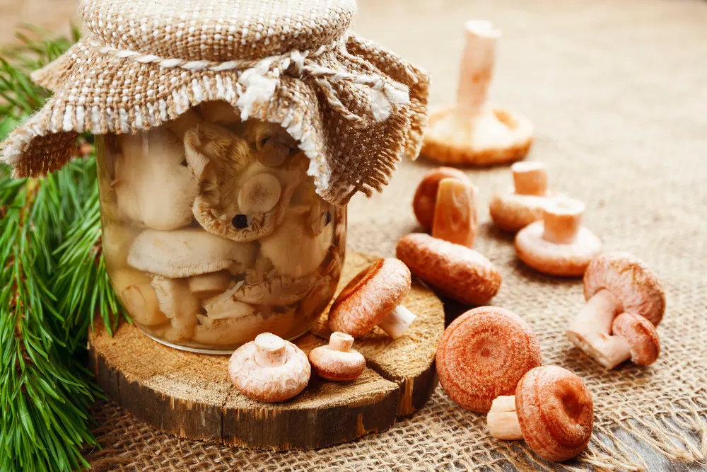 Canned mushrooms — Photo