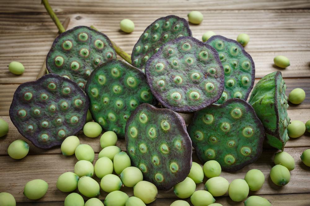 Lotus seeds — Stock Photo, Image